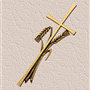 image 01